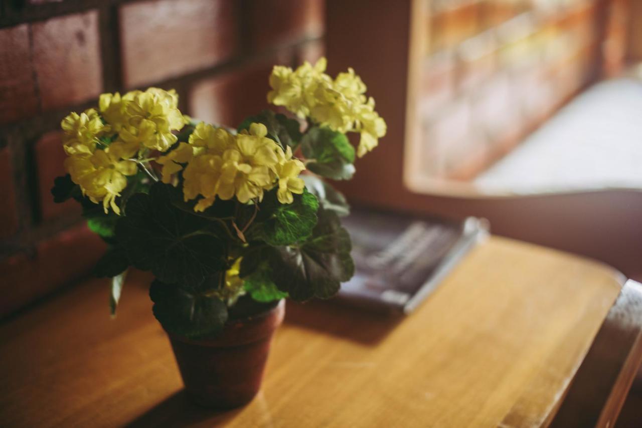 Posada Edelweiss اوكسابامبا المظهر الخارجي الصورة